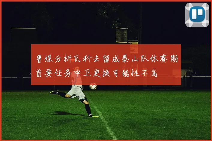 鲁媒分析瓦科去留成泰山队休赛期首要任务中卫更换可能性不高